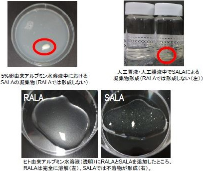 写真. SARAとアルブミンによる不溶性凝集物