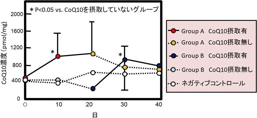 図3. 中臀筋CoQ10濃度の変化