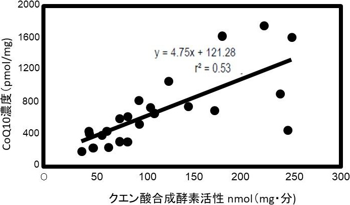 図4. 中臀筋CoQ10濃度とクエン酸合成酵素活性の相関