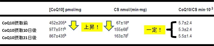 表1. 摂取21日後の中臀筋CoQ10濃度、クエン酸合成酵素（CS）活性