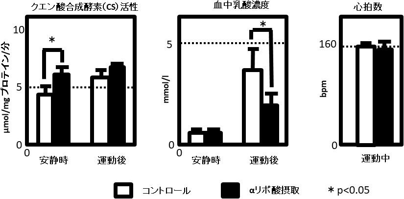 図5. 運動中の筋肉CS活性、血中乳酸濃度、心拍数に対するαリポ酸摂取の効果