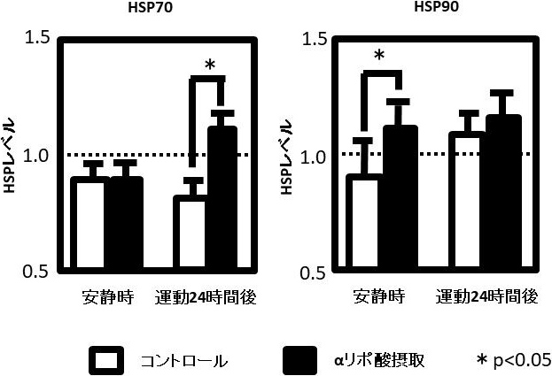 図2. 運動とαリポ酸摂取がウマ中殿筋のHSP70とHSP90レベルに及ぼす影響