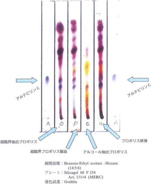 図1. 超臨界抽出とアルコール抽出のプロポリスエキスの薄層クロマトグラフィー