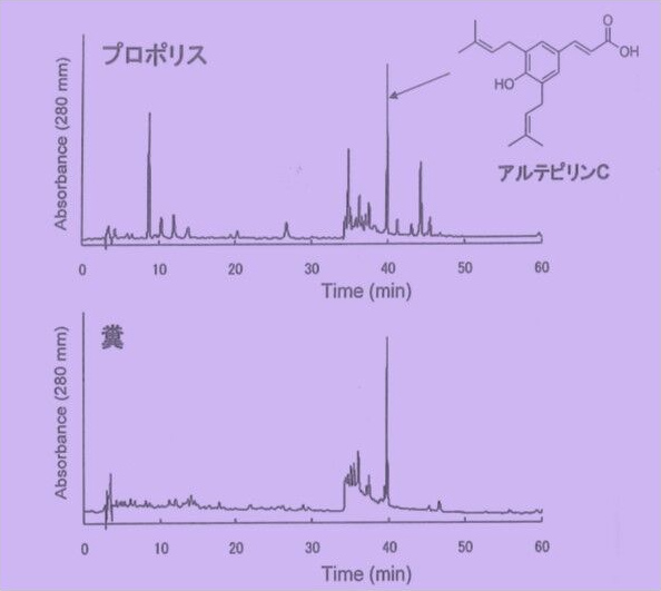 図2. ブラジル産プロポリスを投与したラットの24時間後の糞のHPLC