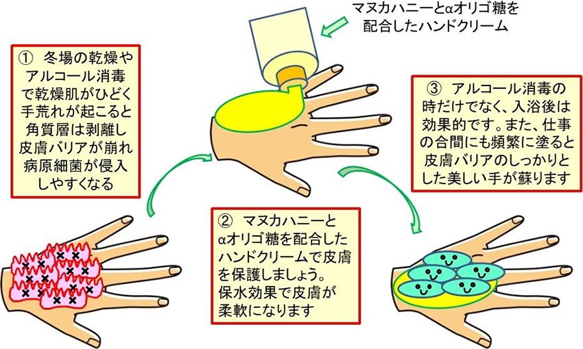 アルコール消毒から手荒れを防ぐ方法