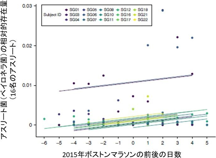 図2. ボストンマラソン後のアスリート菌の増加