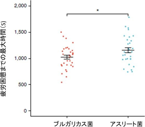 図3. アスリート菌を補給したマウスの運動能力の向上