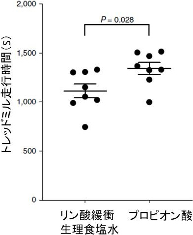 図4. プロピオン酸を補給したマウスの運動能力の向上