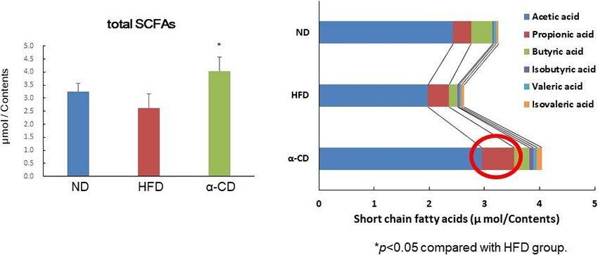 図5. αオリゴ糖摂取による腸内プロピオン酸産生量の増加