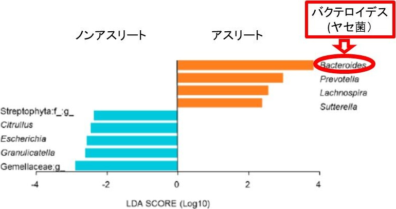 図2. ノンアスリートとアスリートの腸内細菌叢の違い