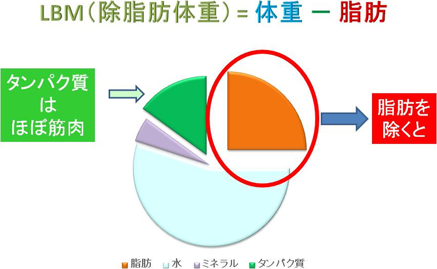 図1. 除脂肪体重（LBM）とは