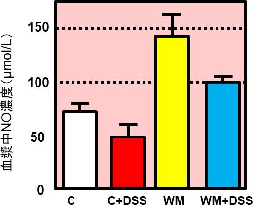 図4. スイカ粉末摂取による一酸化窒素（NO）の増加