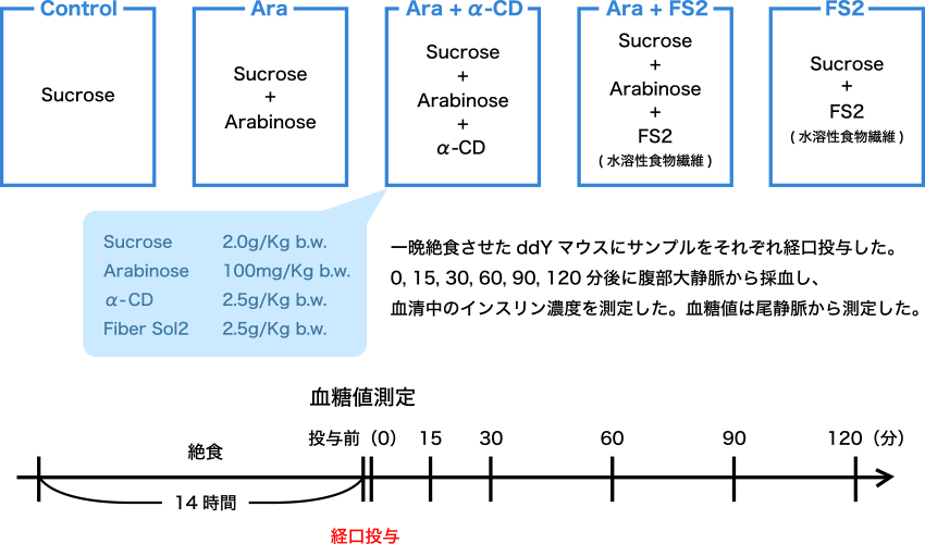 図2. 砂糖を摂取した際の血糖値上昇に関する試験方法