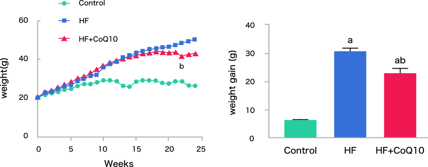 図3. 高脂肪食とCoQ10摂取による体重変化