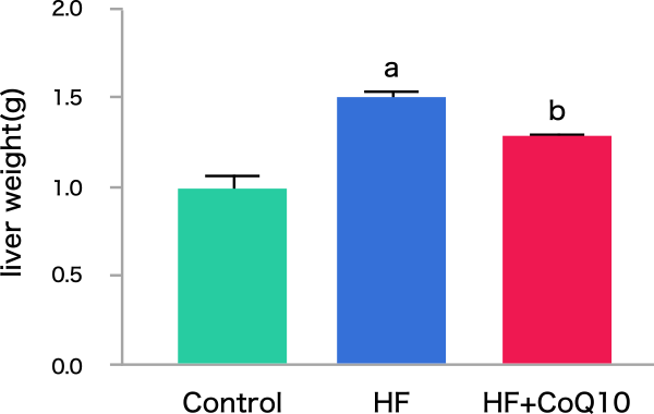 図4. 高脂肪食とCoQ10摂取による肝臓重量変化