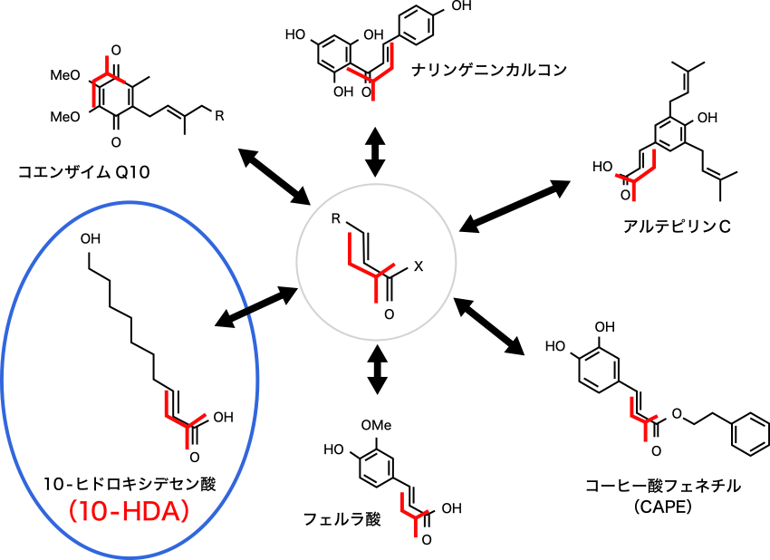図4. 10-HDAは不安定なα、β-不飽和カルボニル化合物