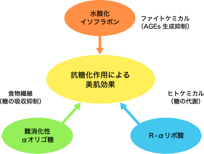 図5. 食物繊維・ヒトケミカル・ファイトケミカルの組み合わせによる抗糖化