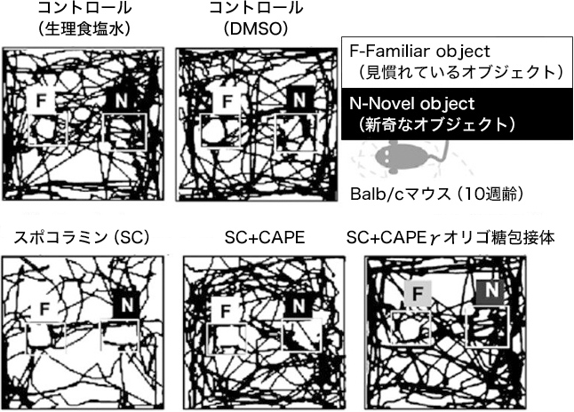 図5. 新奇なオブジェクトへのマウスの移動状況