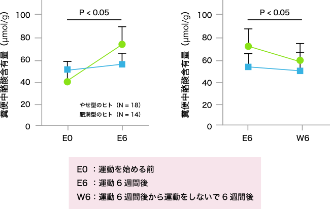 図. 有酸素運動で腸内の酪酸量は増加する