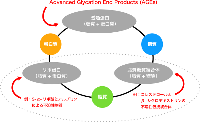 図. 糸球体損傷を引き起こす可能性のある食事成分から形成する血液中の不溶性物質と粘性を上昇させる物質