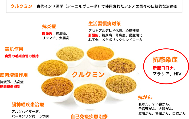 図1. クルクミンの様々な効能効果