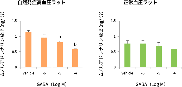 図6. GABAのノルアドレナリン放出抑制による抗ストレス作用