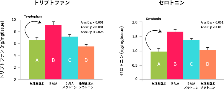図7. 夜光にさらされストレスを受けたラットへの5-ALA投与によるトリプトファンとセロトニンの増加
