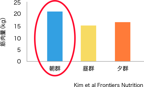 筋肉を維持するにはプロテインは朝摂取する