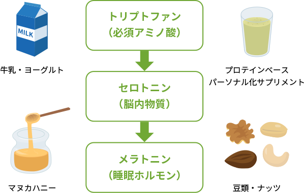 図1. 快眠の為のメラトニン体内生成