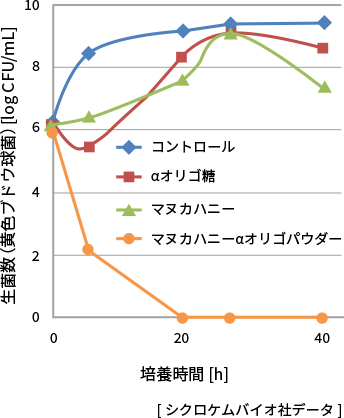MGOとαオリゴ糖の相互作用による抗菌力の増強効果