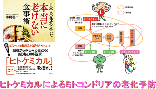 タンパク質の維持に必要な日本人のためのヒトケミカル