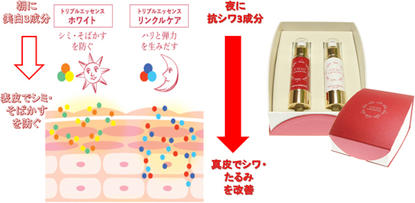 朝と夜の2つの美容液による肌のエイジングケア