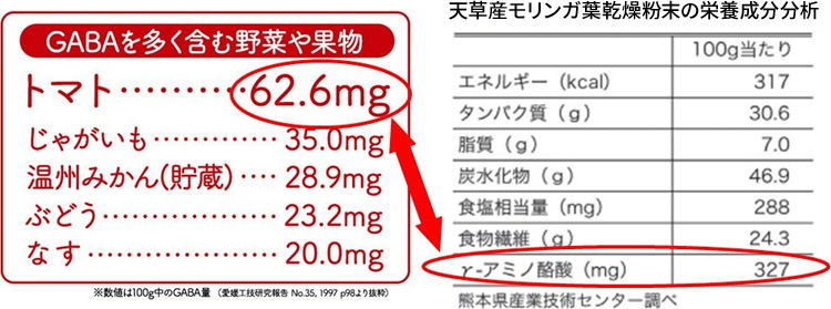 γ-アミノ酪酸（GABA）含有量の比較