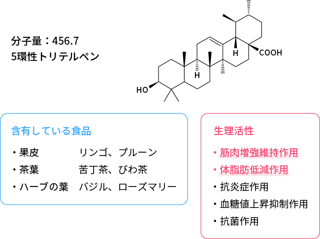 ウルソール酸