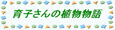 terra-cd019002.jpg