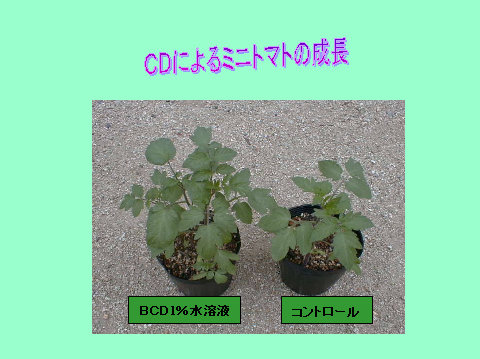 terra-cd020002.jpg