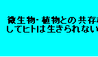 terra-cd025004.gif
