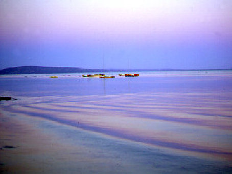 terra-cd_001001007.jpg