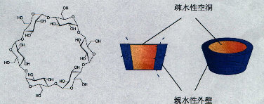 terra_cd004002.jpg